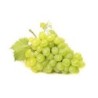 VIRTUS 80/120ml - Grape Apple Frost