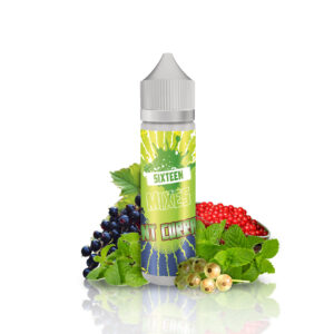 Sixteen Mixes 40/60ml - MINT CURRANT